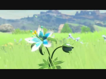 厄災かけますね.botw16