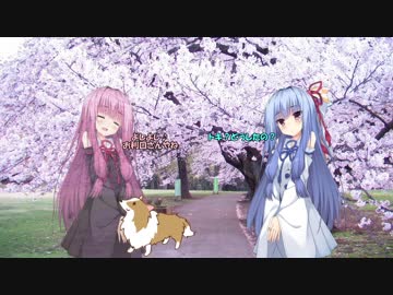 灰の空　５話【VOICEROID劇場】