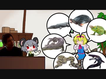 ハチュカス★☆☆☆☆☆☆☆☆