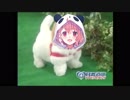 愛犬ロボ「笹木」