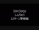 【DQ3】しんりゅう　１２ターン撃破編【SFC】