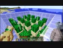 【マイクラ】サボテン自動収穫機作成（おまけ付）