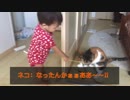 赤ちゃん□と猫ちゃん□が初めて遊ぶ【感動の瞬間】