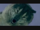 「実況」呪術で無双するダークソウルリマスタード！！part 12