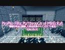情報完全遮断完全初見でマインクラフト#92