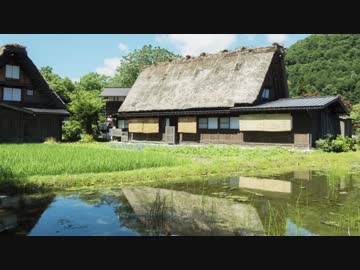 ソロツー以外の何か with 東北きりたん Phase 22 「思いつき白川GO編」