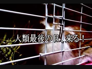 テスト002