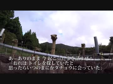 【モトブログ】CBR250RRで西伊豆スカイライン！