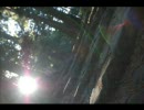 写真撮ってみた。和歌山編