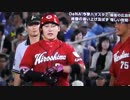 8.19 Carp 勝鯉！M29