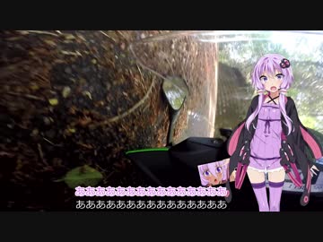 Ninja400で舞い忍ぶ！ ～八溝山編～ 第1巻【結月ゆかり車載】