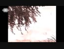 蛍 / 歌ってみた 【もいもり】