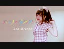 【ぐ～ぺこ】　Sea Breeze　踊ってみた　【アイマリンプロジェクト】