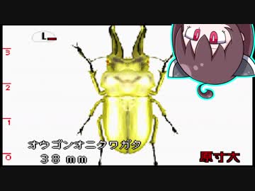 【VOICEROID実況】　東北きりたんの何もない夏休み　#3　【ぼくのカブト・クワガタ】