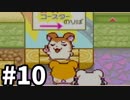 とっとこ回るよ！観覧車-とっとこハム太郎3 ラブラブ大冒険でちゅ-#10