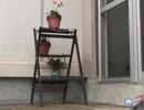 植木鉢のおじさん