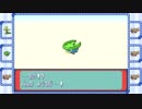 久方ぶりに、ポケモン始めました【サファイア】５