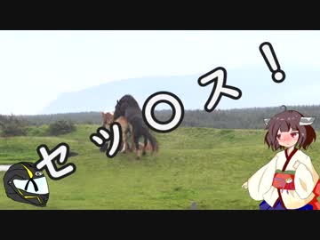 【VOICEROID車載】 きりたん拉致ってどこへ行こ？ part.5 【俺よりデカい奴に会いに行く編】