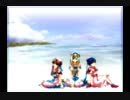 夏便り