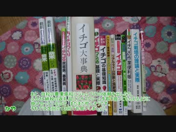 本気農業　「いちご」つくって400万稼ぐ　その12 ゆっくり解説
