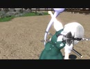 【東方MMD】みょんは、Daisukeを知った様です。