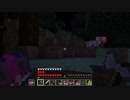 【Minecraft】どMゲームルールでタイムアタックなんてするもんじゃない！～超越編～ #015【知恵の探求者 in Twitch】