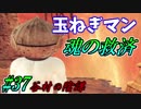 【ソウルシリーズツアー３章】ダークソウル２～スカラーオブザファーストシン～part37