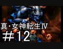 真・女神転生Ⅳ　またゲームに夢中になるために実況プレイ12