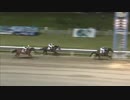 2018年8月20日川崎競馬9R 第７１回秦野たばこ祭記念(B2-二・B3-一) セイヴェルビット
