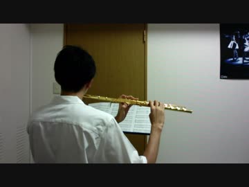 【フルート・ピッコロで】ニア【演奏してみた】