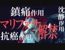 タイマー解禁　あべりょう　フジテレビ「Tune」エンディング曲「キミの一番の成功体験」