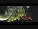 [ニコカラ]-ファーレン ft. 初音ミク- ピコン offvocal key+1