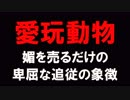 愛玩動物　あべりょう　フジテレビ「Tune」エンディング曲「キミの一番の成功体験」