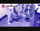 【実況】龍が如く極を堪能する part28