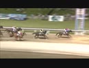 2018年8月22日川崎競馬10R 吾亦紅（われもこう）特別(B1-二・B2-一) ベイビータピット