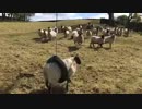 【羊】可哀想だけど笑う