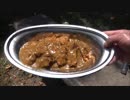 夏の公園でカツカレー食べてみた【アル中カラカラハイボール】