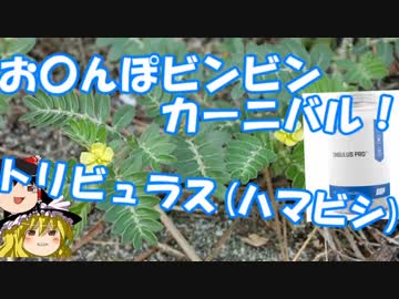 ゆっくりサプリレビュー 05 「ハマビシ」