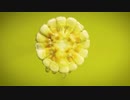 corn_close_up　＠　竹ノ内誠　８．２５