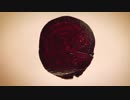 beetroot_close_up　ｂｙ　takenoutimakoto1　８．２５