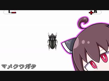 【VOICEROID実況】　東北きりたんの何もない夏休み　#5　【ぼくのカブト・クワガタ】