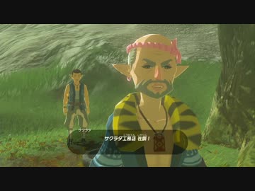 【実況】のんびり冒険記　20ページ目【ゼルダの伝説BoW】