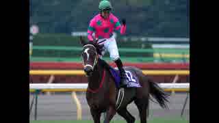 【ウイニングポスト8 2015】女馬主と早世馬の新世界【実況プレイ】285