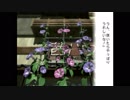 【ぼくなつ２】大人だからこそ楽しむ夏休み！ 【11日目前半】