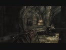【実況】スカイリム移住計画【Skyrim】第352回