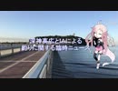 【第四回ひじき祭】深神高広とIAによる　釣りに関する臨時ニュース（湘南大堤防）2018/8/16