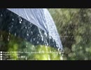 【VY1】rain stops,good-bye【Cover】