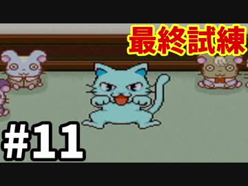 とっとこ解決！お化け屋敷-とっとこハム太郎3 ラブラブ大冒険でちゅ-#11