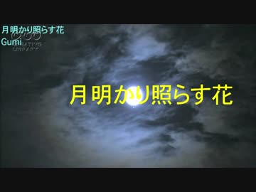 【Vocaloid GUMI】月明かり照らす花【Original Song】