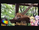【Ninja1000】のんべんだらりとツーリング_第2回ZBM編part.1【ゆかり＆マキ】